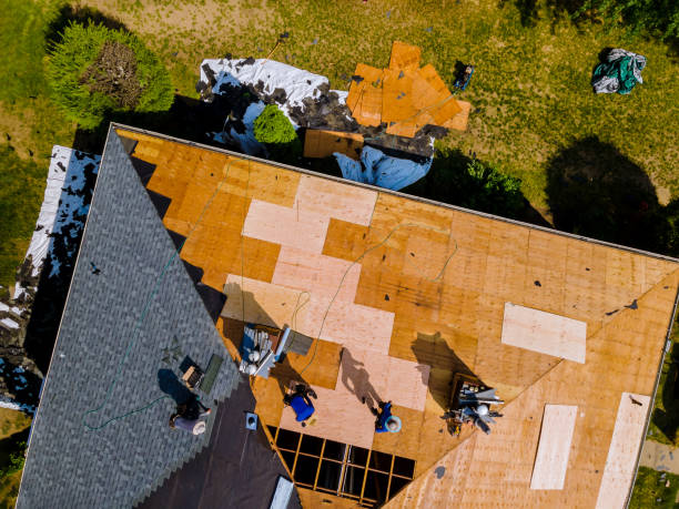 Best Metal Roofing Contractor  in Dallas Center, IA